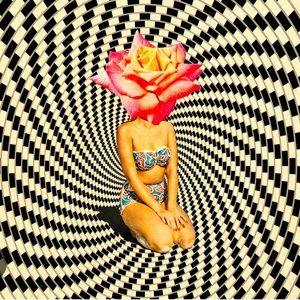 Meet your Posher, Dyan